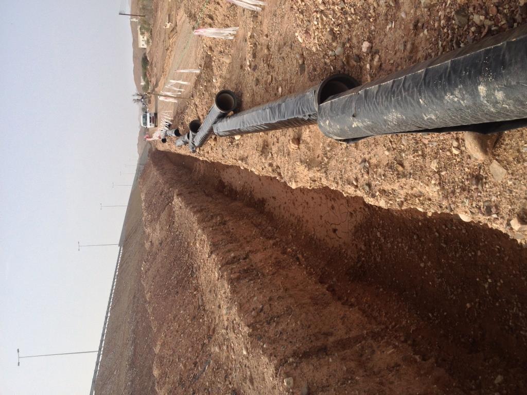 WhatsApp Image 2026-02-19 at 1.53.57 AM