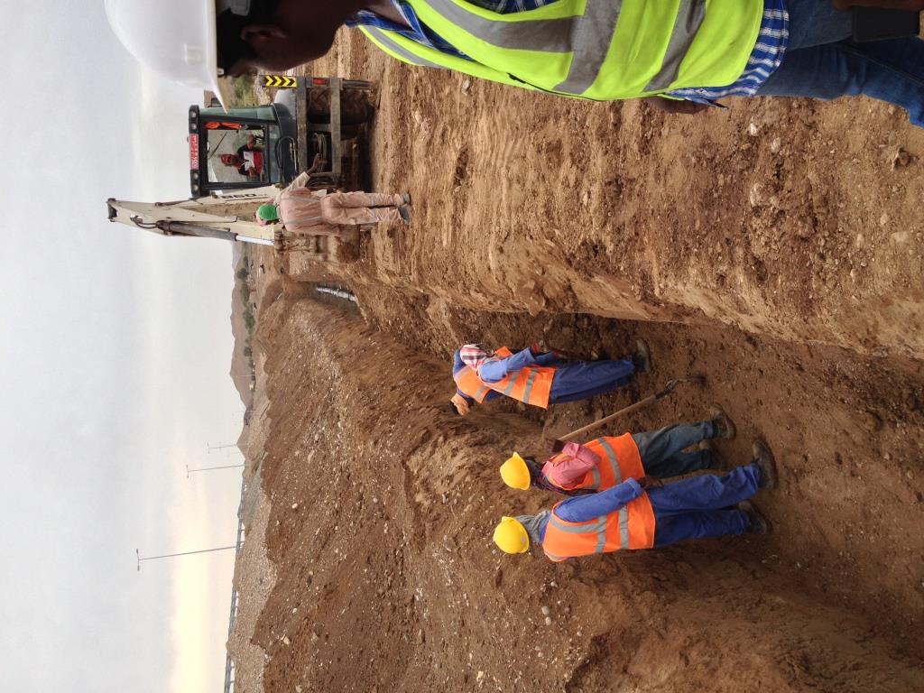 WhatsApp Image 2026-02-19 at 1.53.58 AM