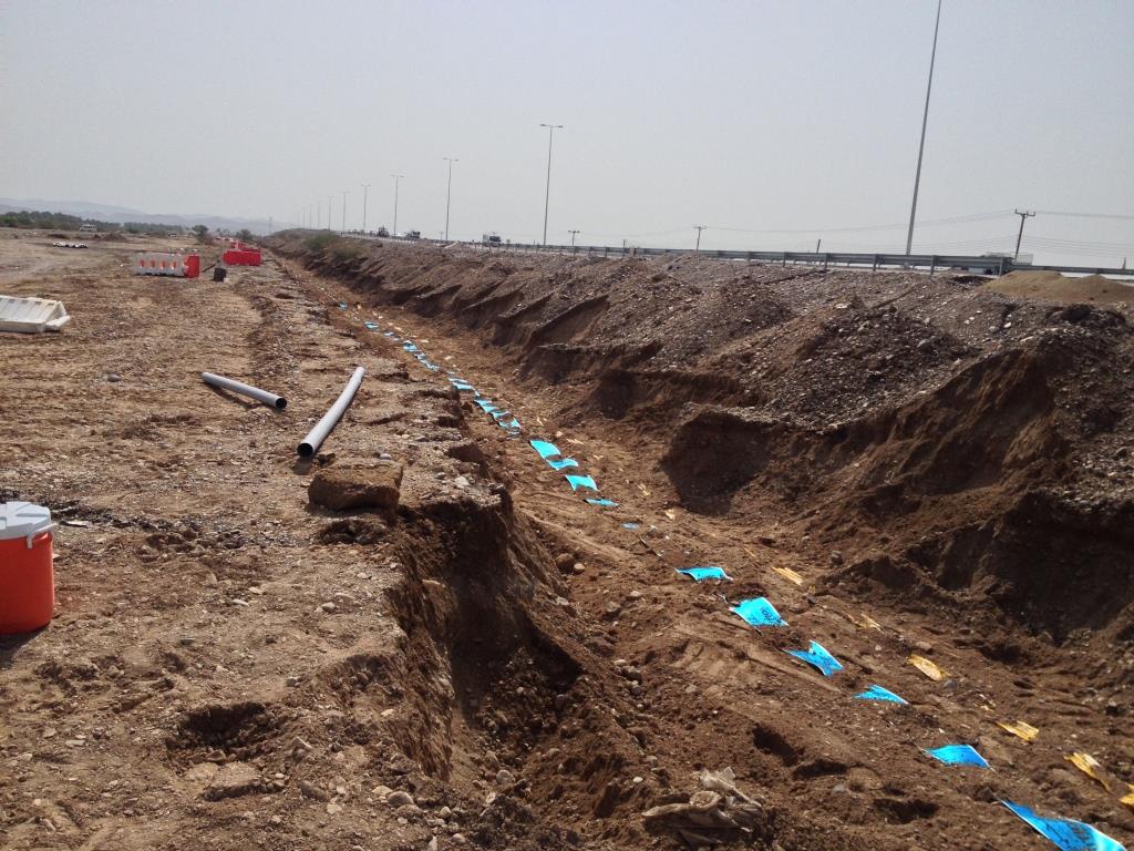 WhatsApp Image 2026-02-19 at 1.54.00 AM