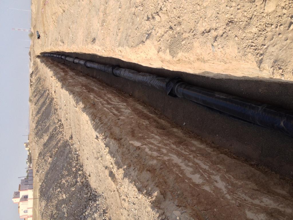 WhatsApp Image 2026-02-19 at 1.54.02 AM