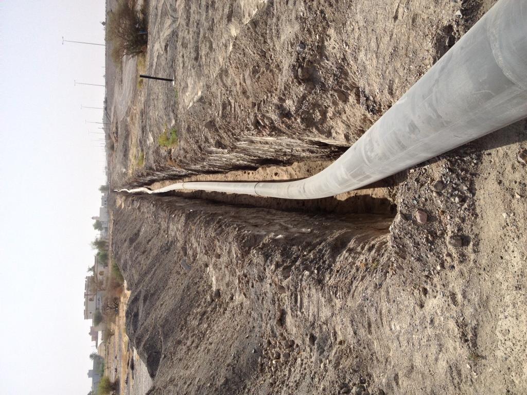 WhatsApp Image 2026-02-19 at 1.54.05 AM