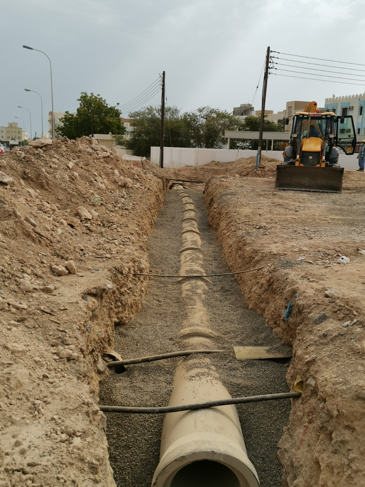 WhatsApp Image 2026-02-19 at 1.54.12 AM