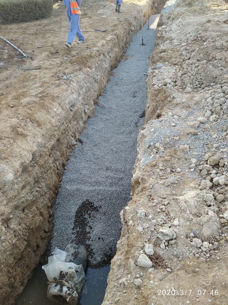 WhatsApp Image 2026-02-19 at 1.54.18 AM