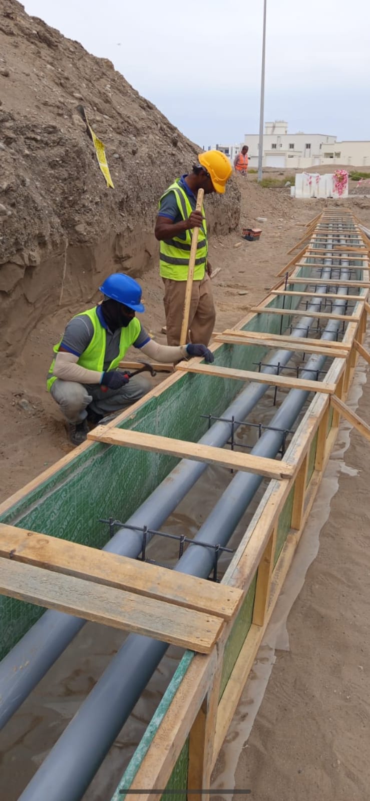 WhatsApp Image 2026-02-19 at 1.55.50 AM