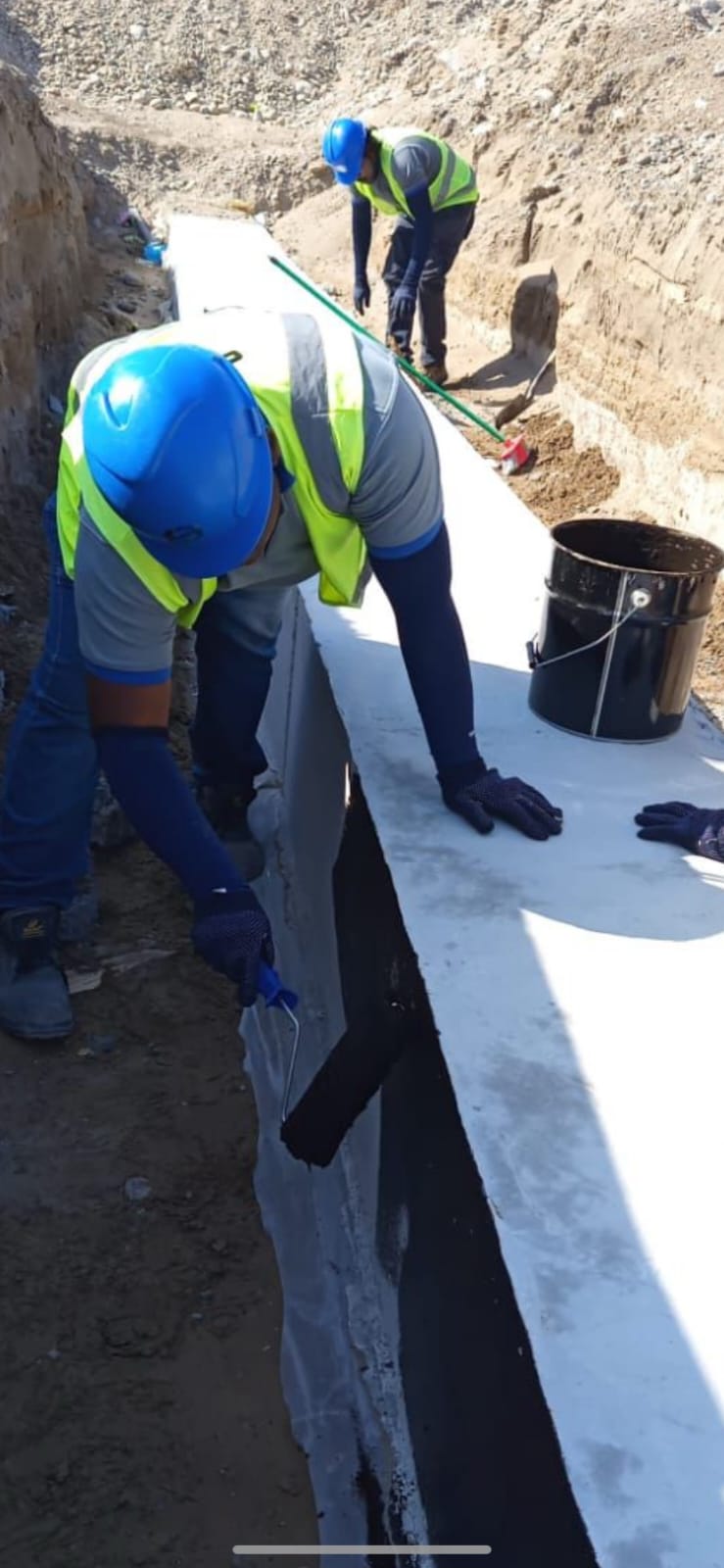 WhatsApp Image 2026-02-19 at 1.55.52 AM